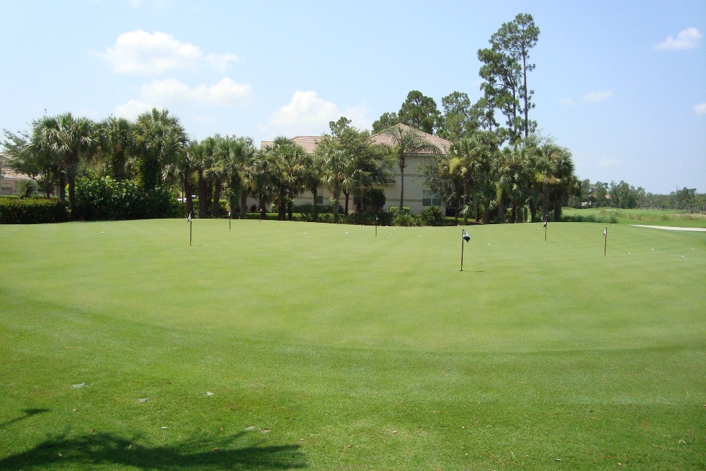 Golf course at Forest Glen in Naples, Florida.